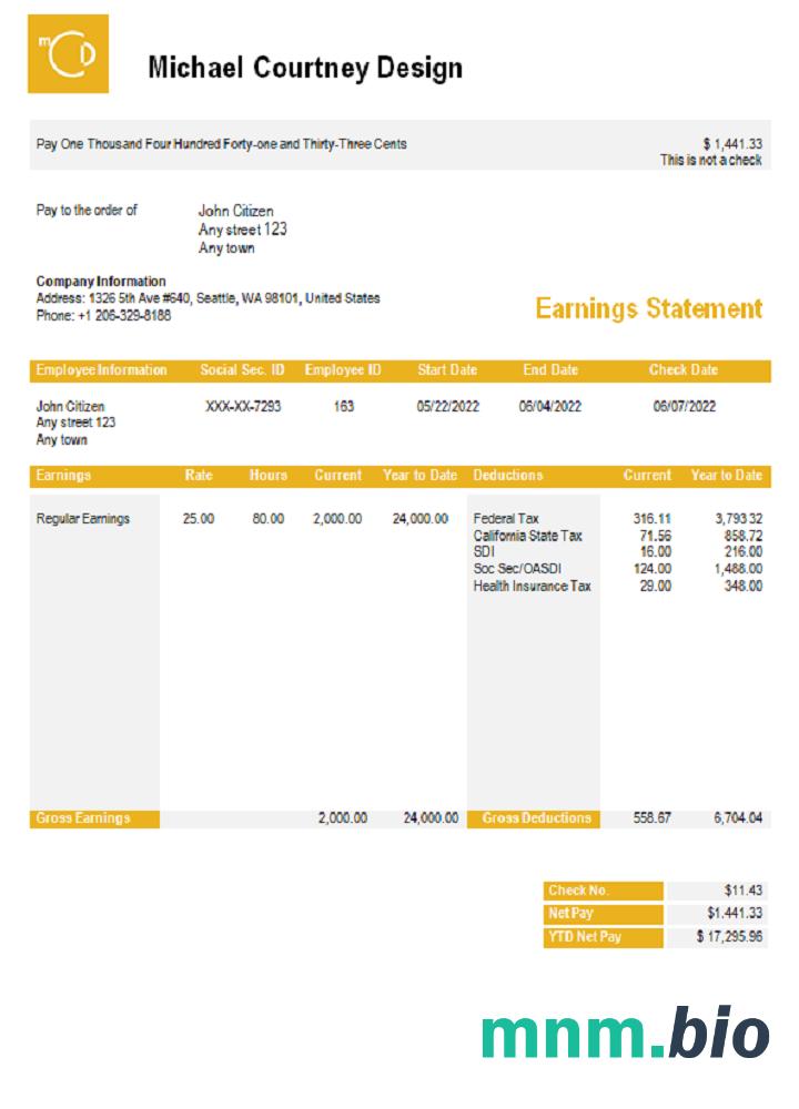 USA Michael Courtney Design graphic company pay stub